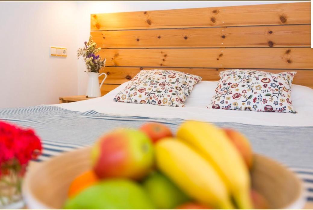 Gasthof Nexo Surf House El Palmar de Vejer